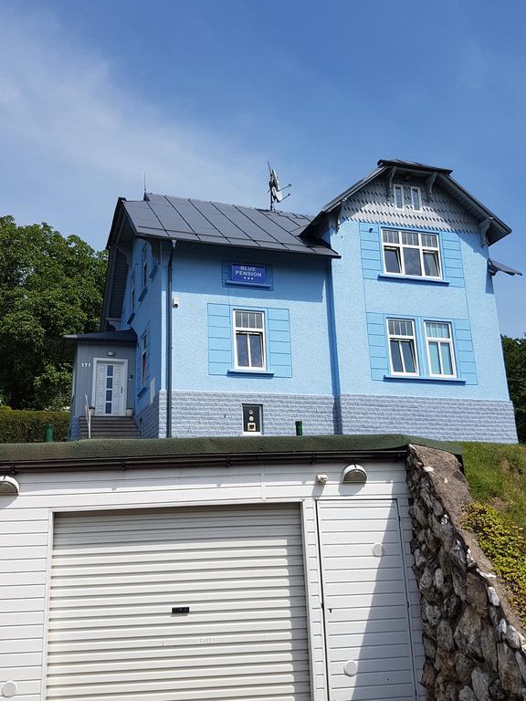 Blue Pension Svoboda nad Úpou Eksteriør billede